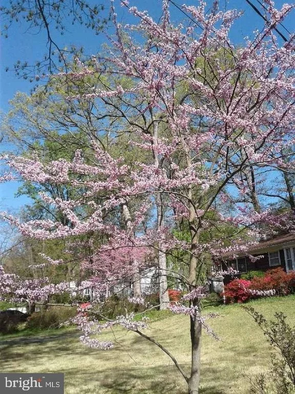 Photo of 1912 KIMBERLY ROAD