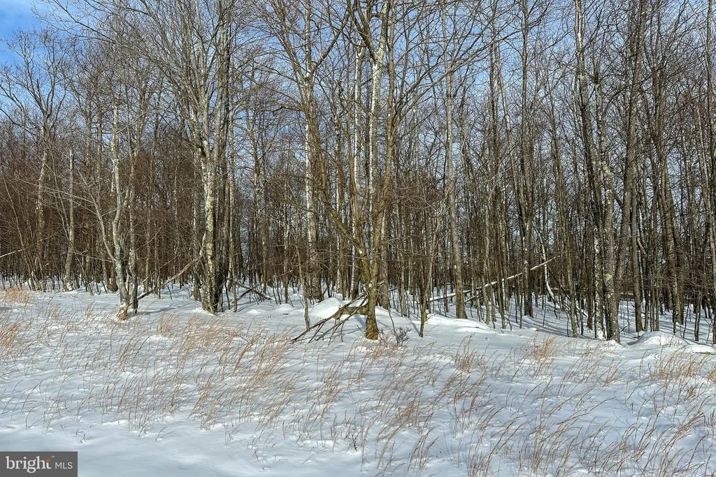 Photo of Lot 100 SNOWHAVEN LANE
