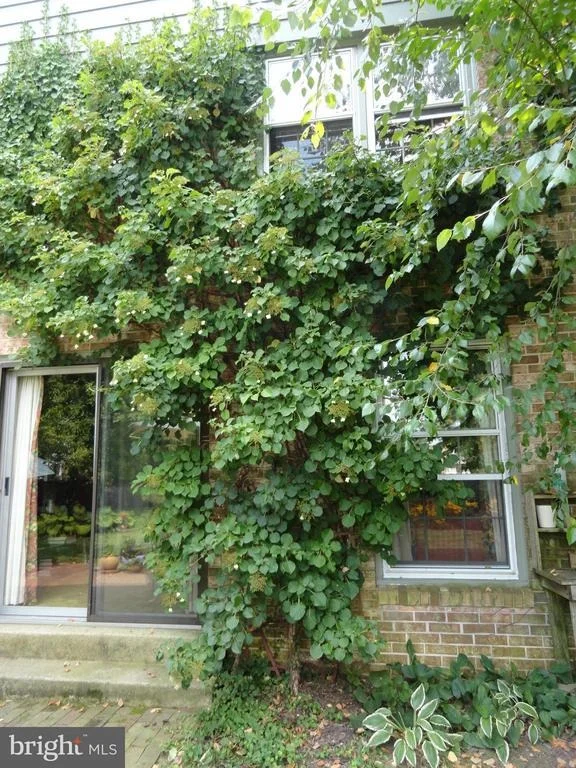Photo of 2503 CHILHAM PLACE