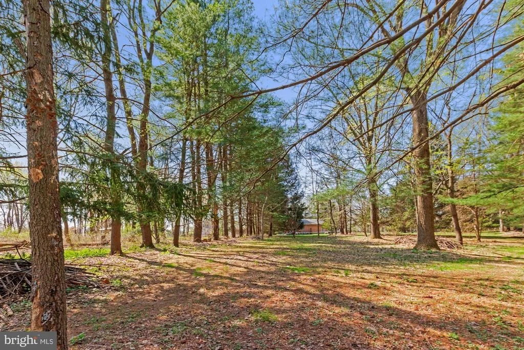 Photo of 17335 DONORA ROAD