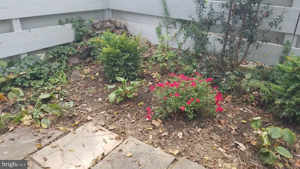 Photo of 12 FROUDE CIRCLE