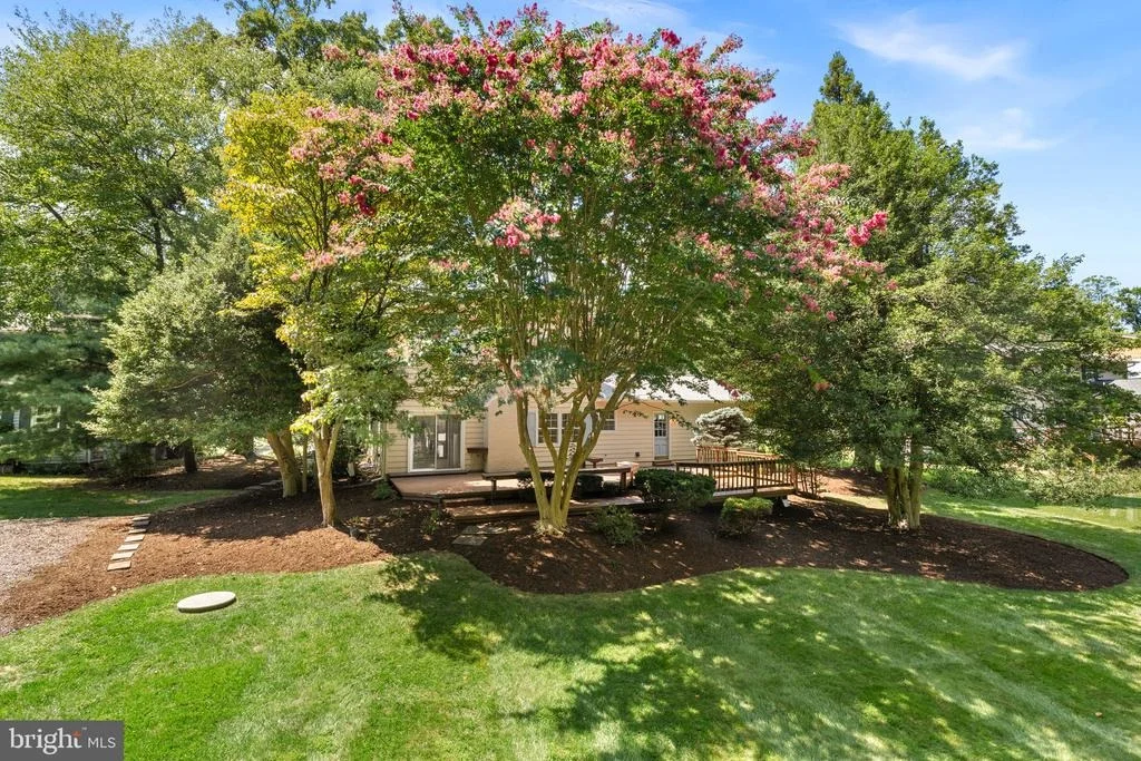Photo of 3241 BETSY LANE