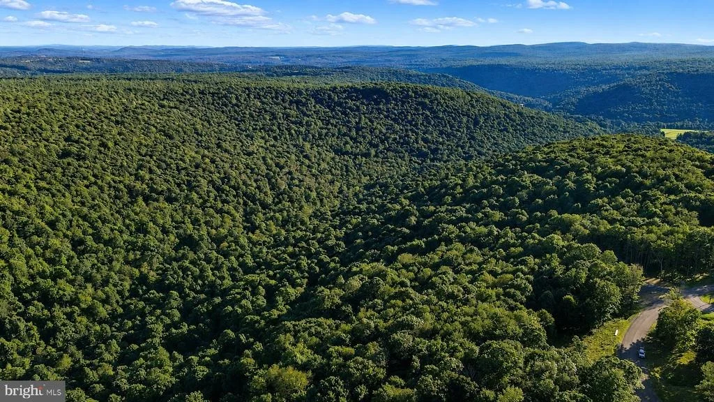 Photo of Lot 168 FORK RUN TRAIL