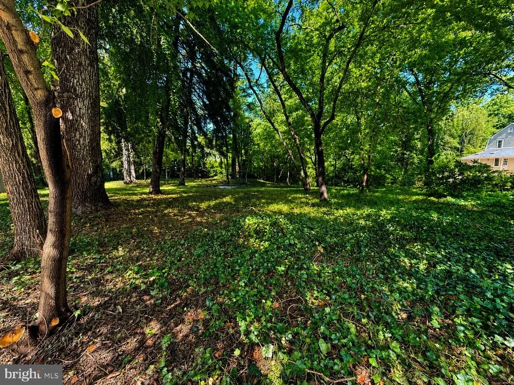 Photo of 389 AVONDALE CIRCLE