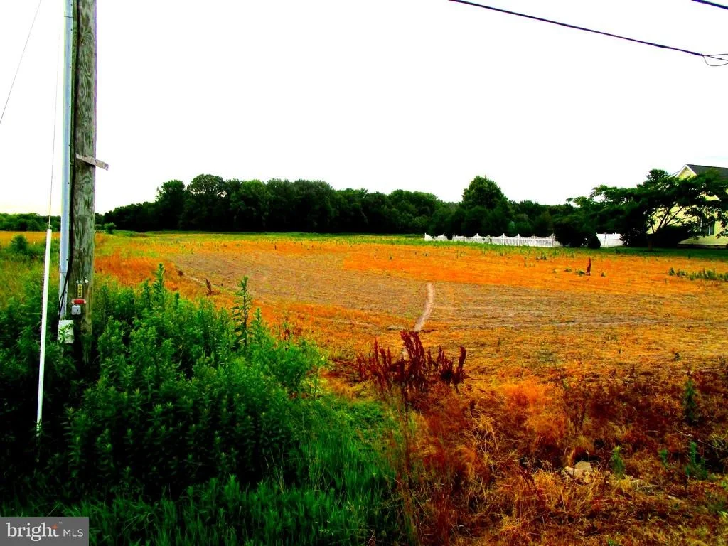 Photo of 87 ROUTE 8