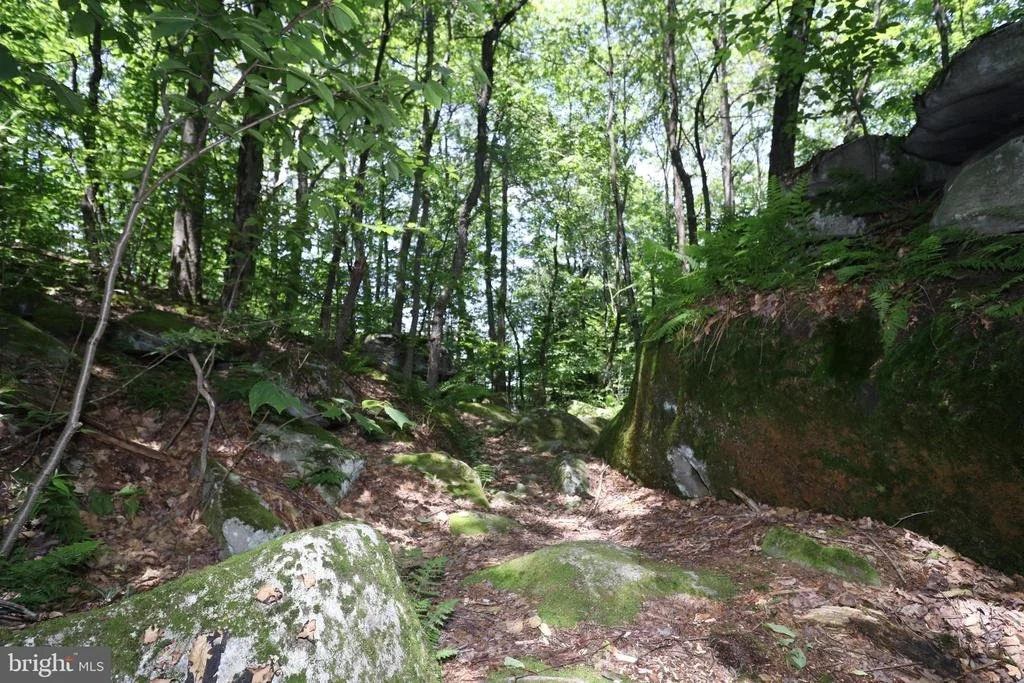 Photo of 84 MOUNTAINTOP ROAD