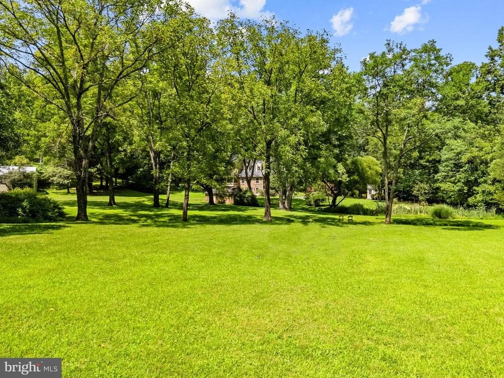 Photo of 39902 THOMAS MILL ROAD