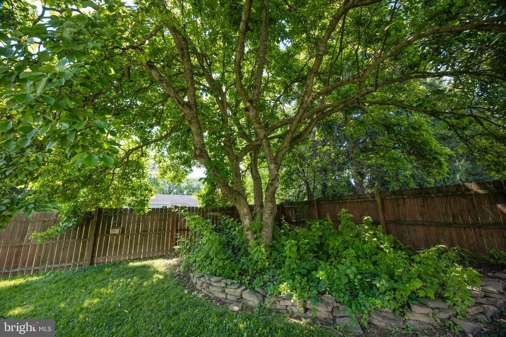 Photo of 515 LOCUST AVENUE