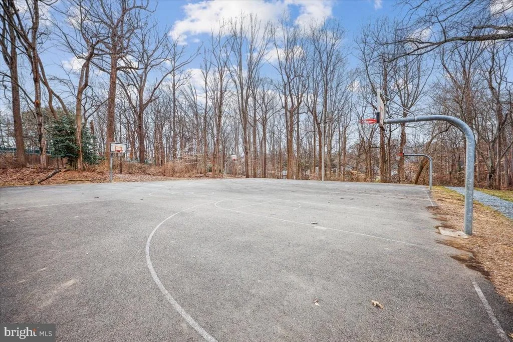 Photo of 8607 WILD OLIVE DRIVE
