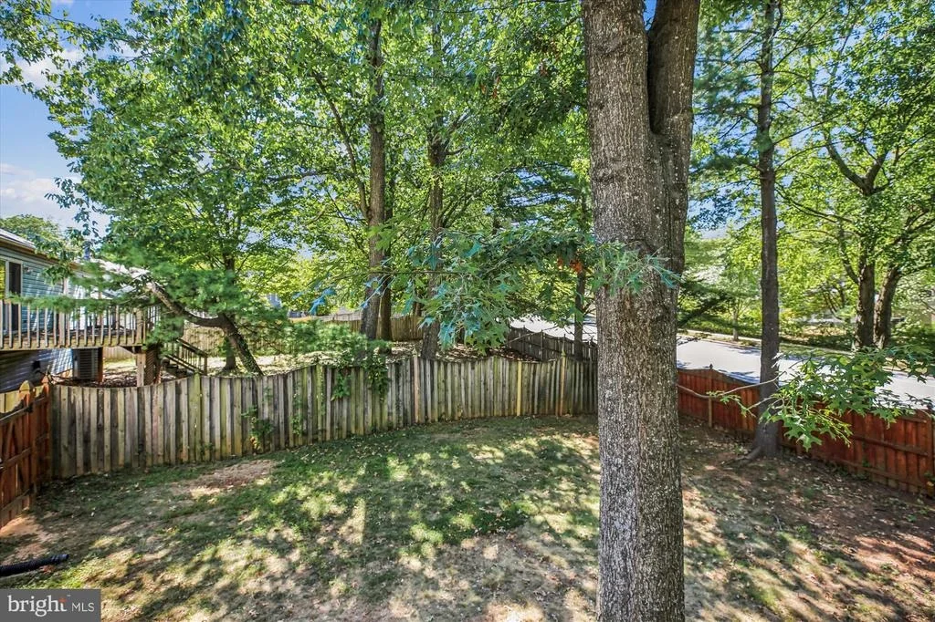 Photo of 11528 DRAGONFIRE WAY