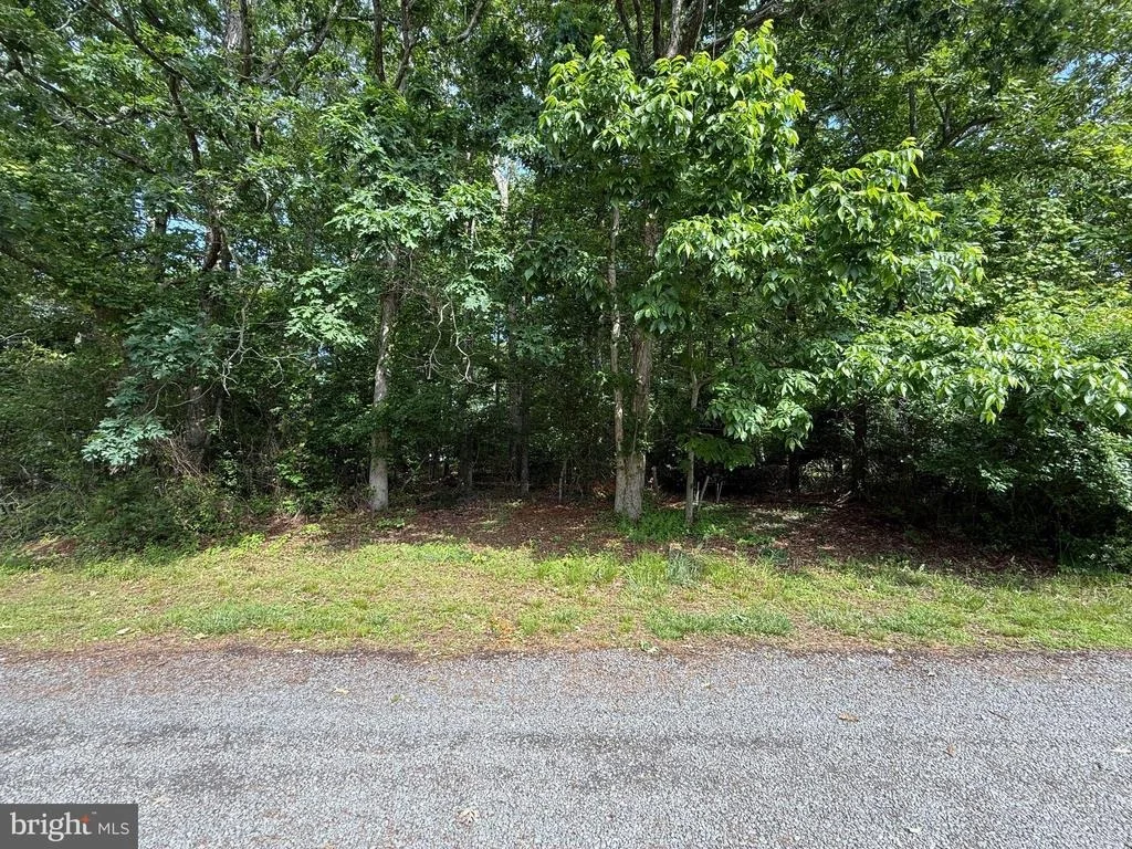 Photo of Unit LOT14 at 0 2ND STREET