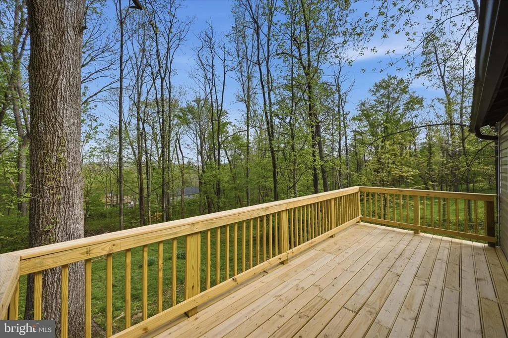 Photo of 105 BUCKSKIN TRAIL