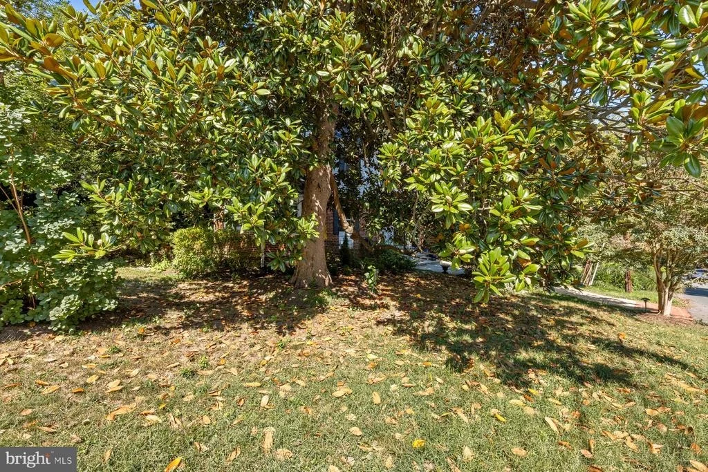 Photo of 415 SCHUYLER ROAD