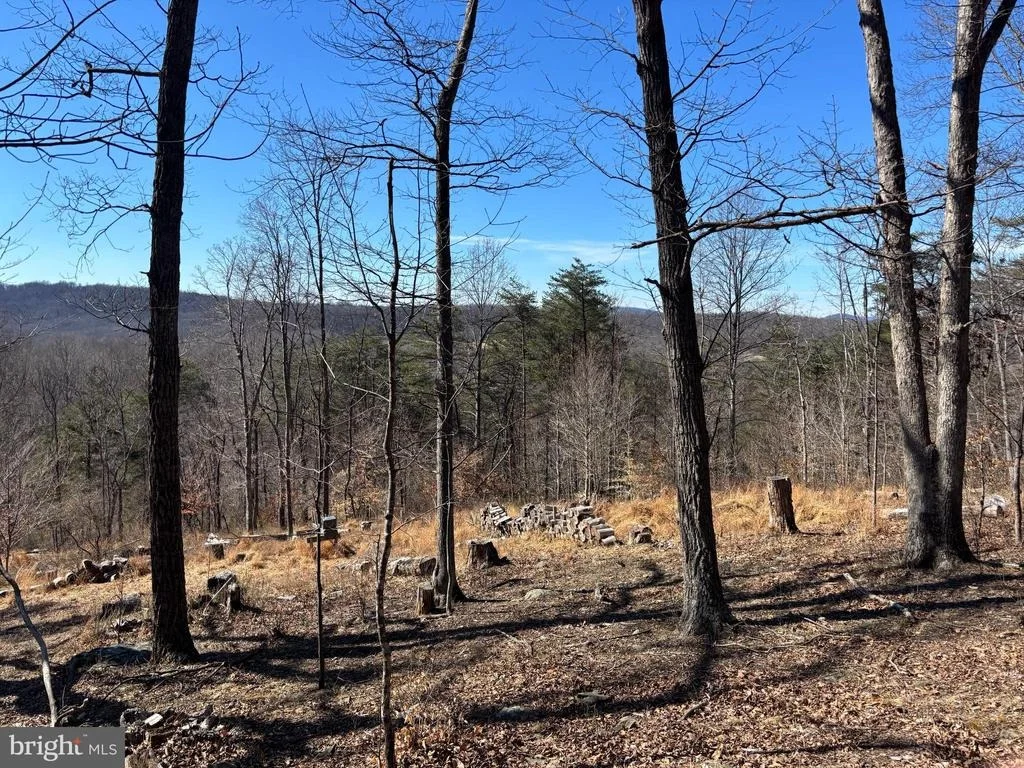 Photo of CARTERS RUN