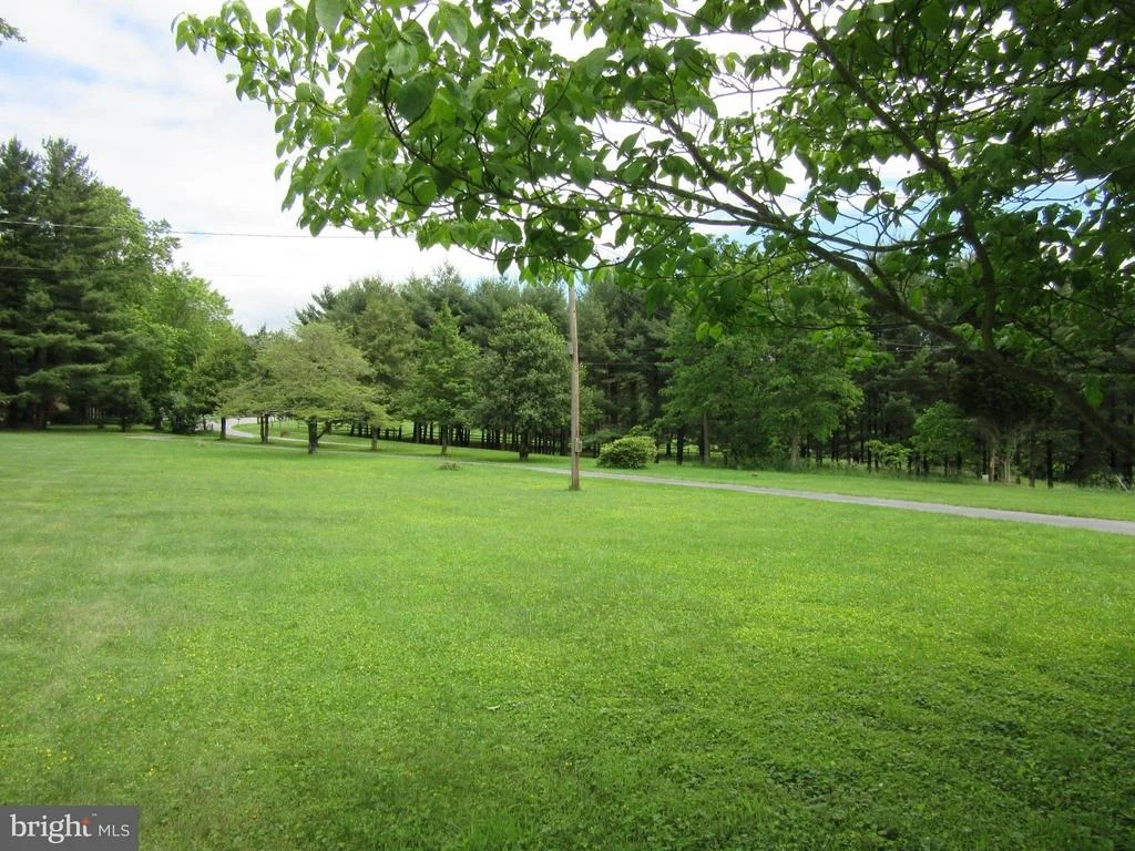 Photo of 
