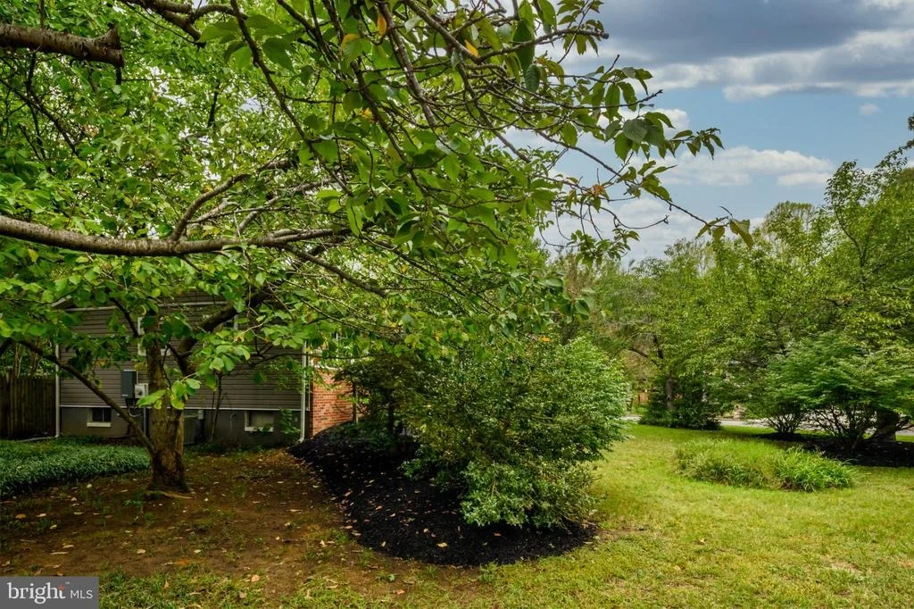 Photo of 1523 MANOR VIEW ROAD