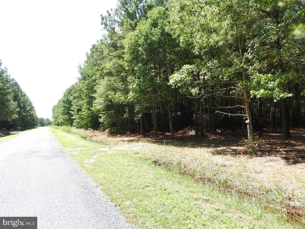 Photo of 5226 HERON ROAD