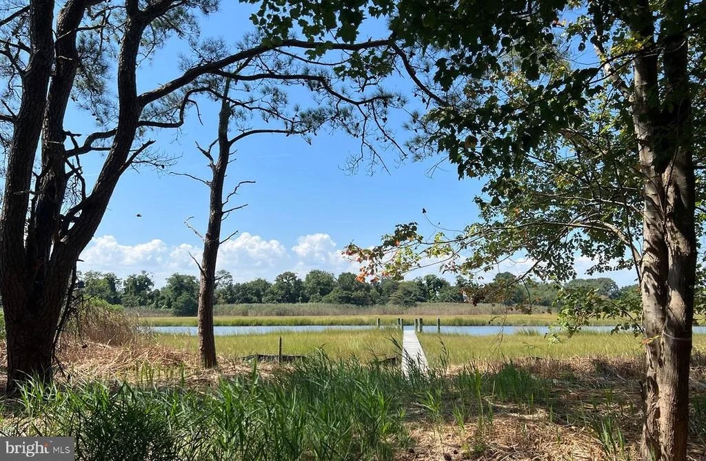 Photo of 7 HARBOR ROAD