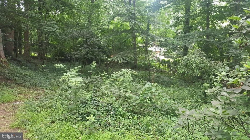 Photo of 7227 WESTERLY LANE
