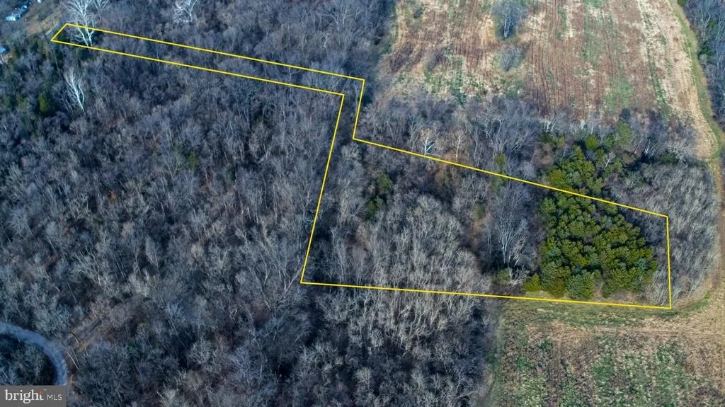 Photo of 8045 AVIS MILL ROAD
