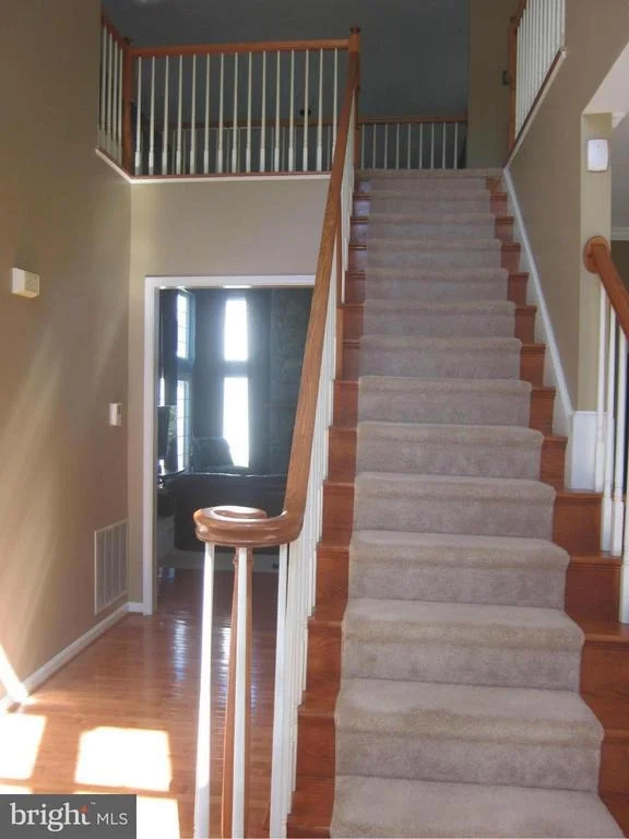 Photo of 4912 DOWNLAND TERRACE