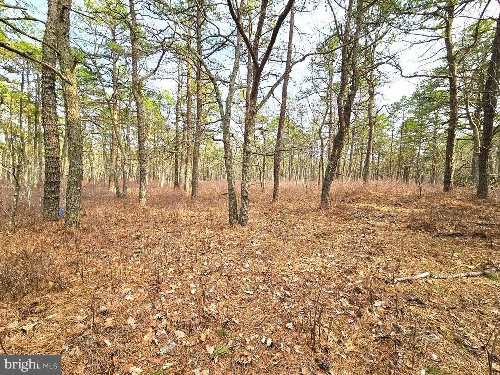Photo of 0 BIRCHWOOD