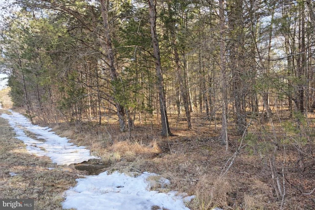 Photo of 16601 GAINES ROAD
