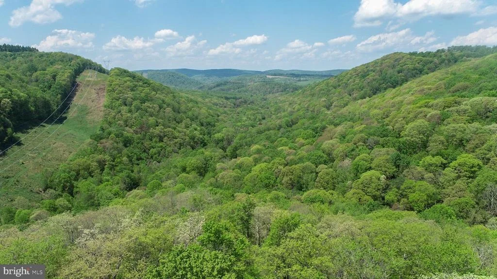 Photo of 259 RESH LANE