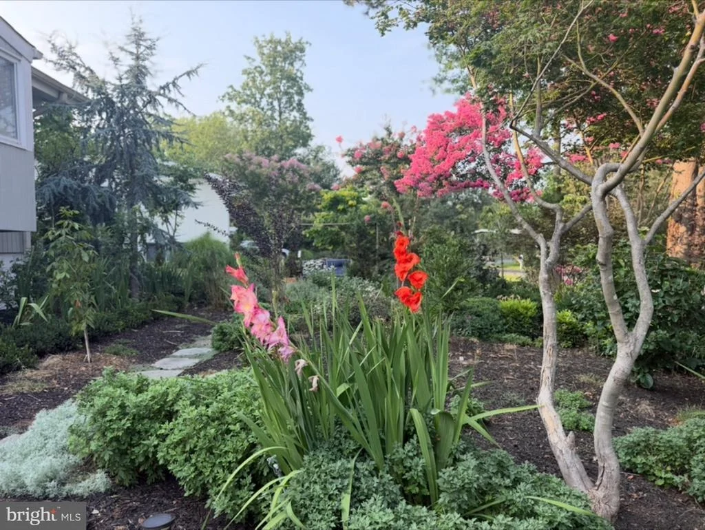 Photo of 11610 KAREN DRIVE