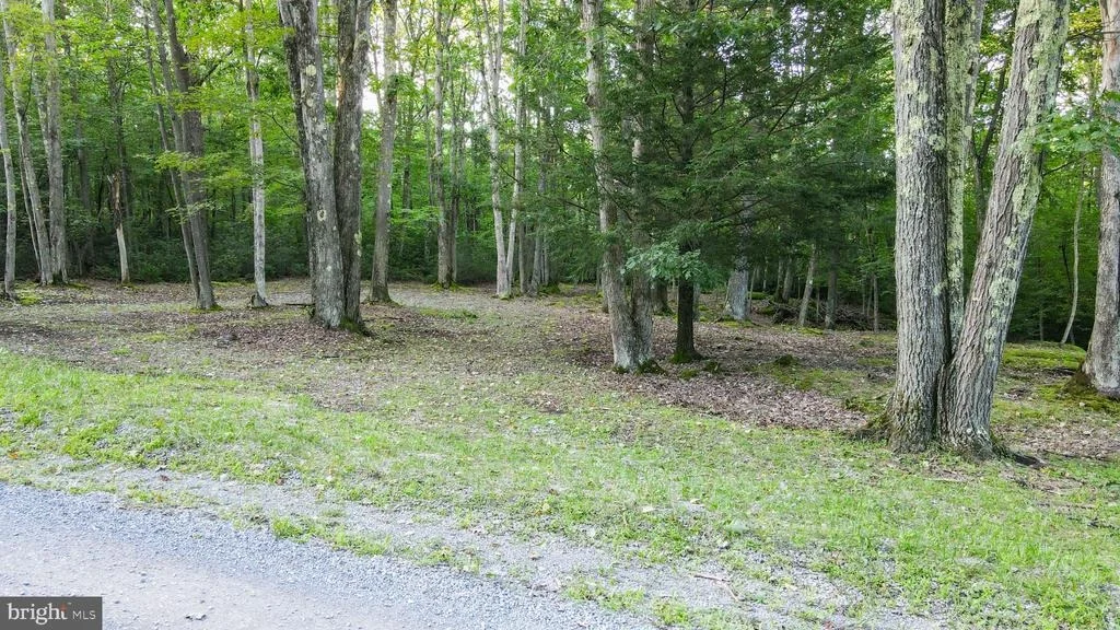 Photo of Lot 8 STOOL ROCK ROAD