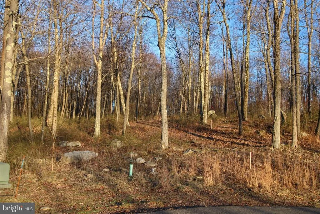 Photo of Lot 8 FOX RUN DR