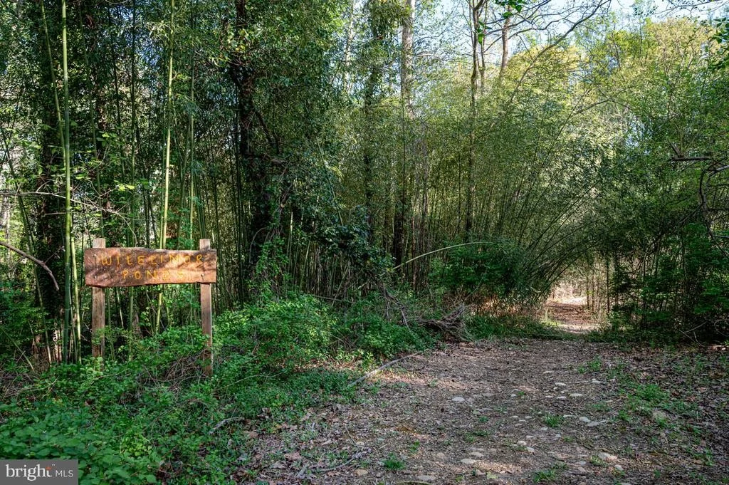 Photo of 12 WILLOW SPRING DRIVE