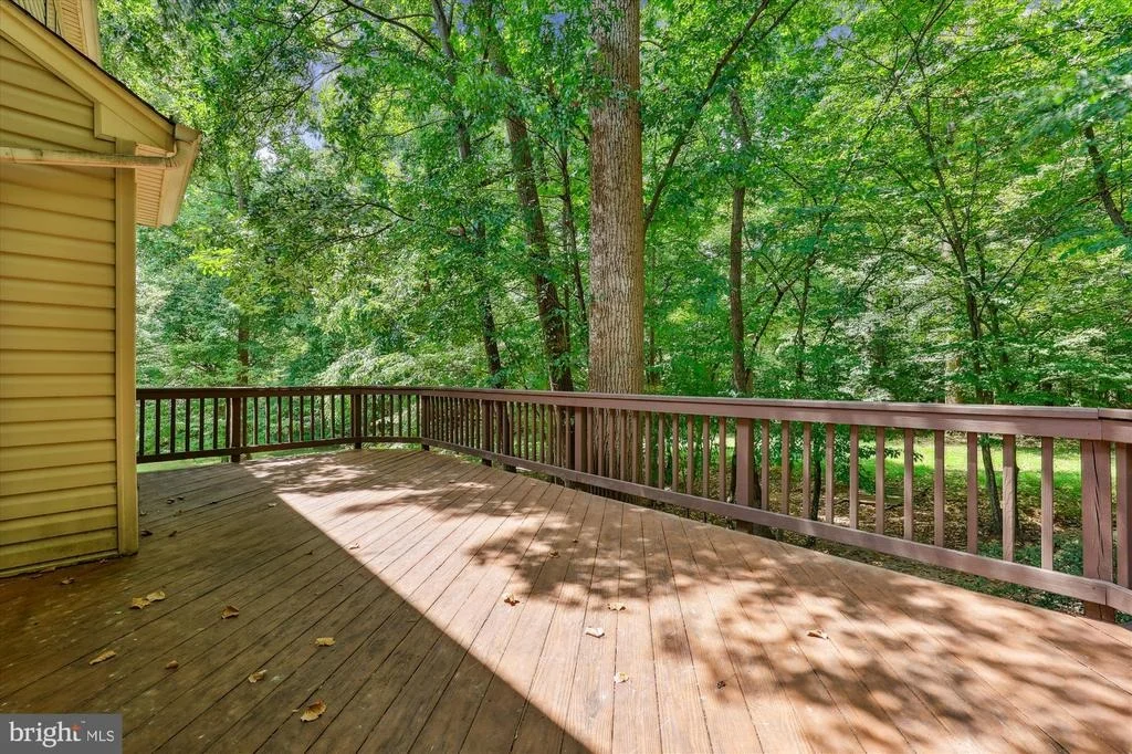 Photo of 3404 OLIVE BRANCH DRIVE