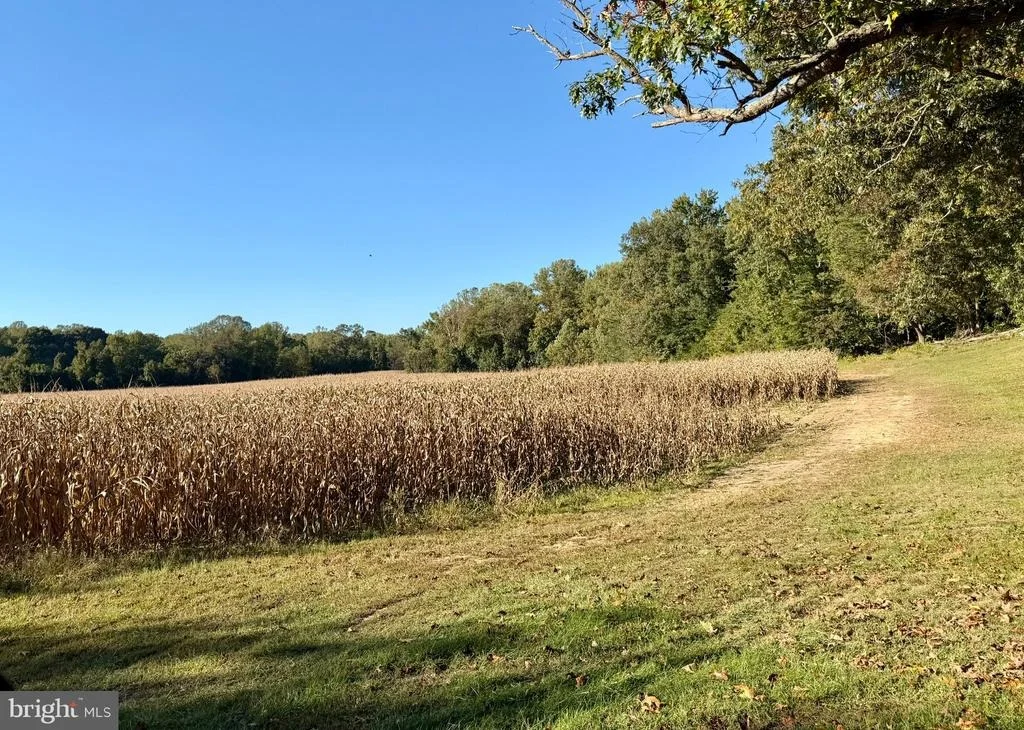 Photo of 15211 CANDY HILL ROAD