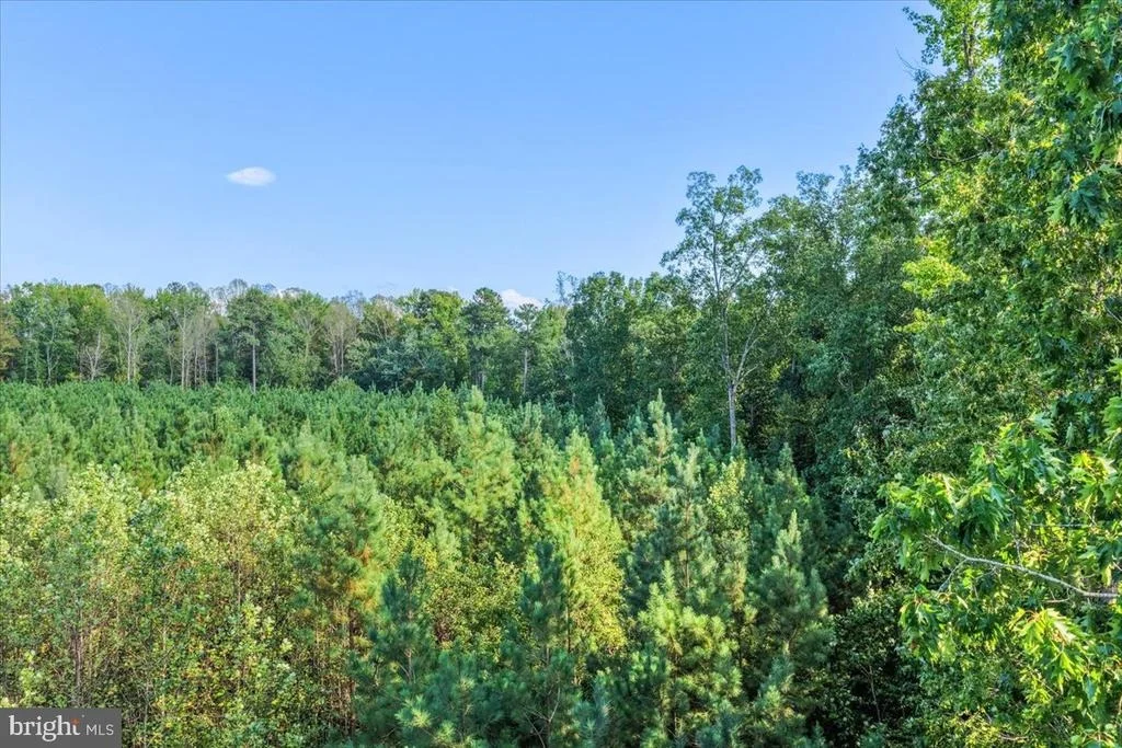 Photo of Lot 7 & 8 COUNTY POND ROAD