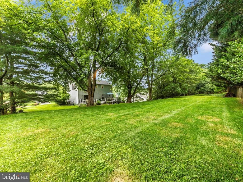 Photo of 25312 CLEARWATER DRIVE