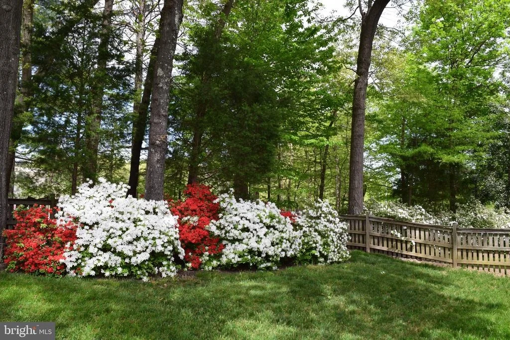 Photo of 6553 RAFTELIS ROAD