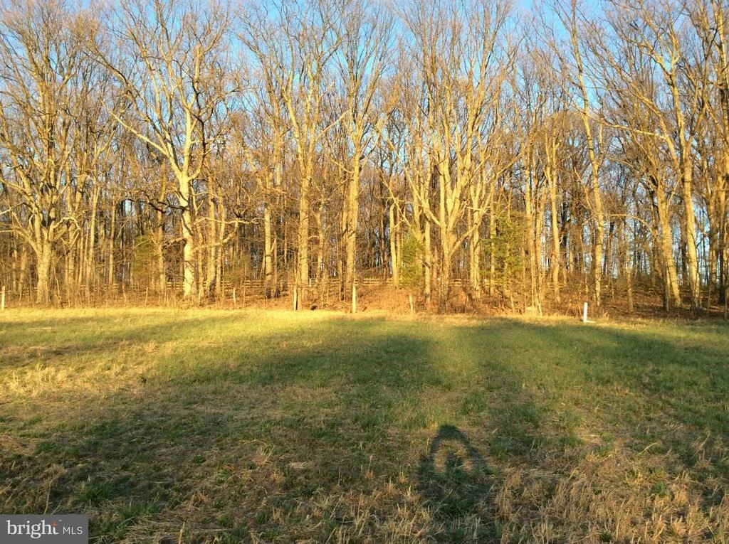Photo of 11322 DAYSVILLE ROAD