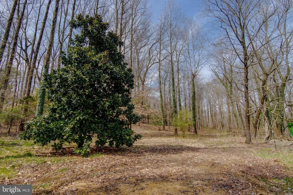 Photo of 4082 OLD MUDDY CREEK ROAD