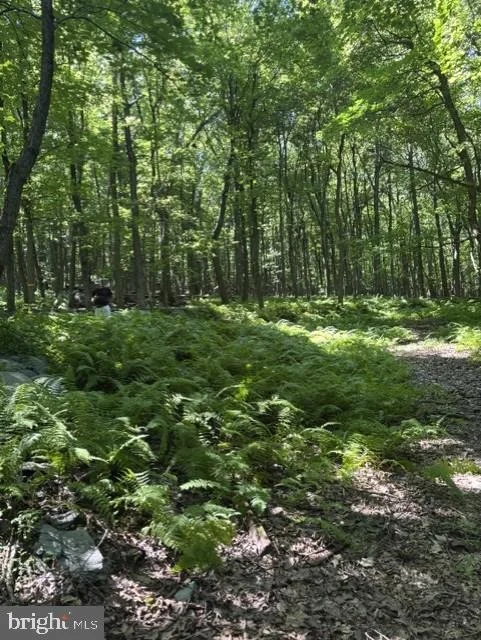 Photo of 7275 BLACK ROAD