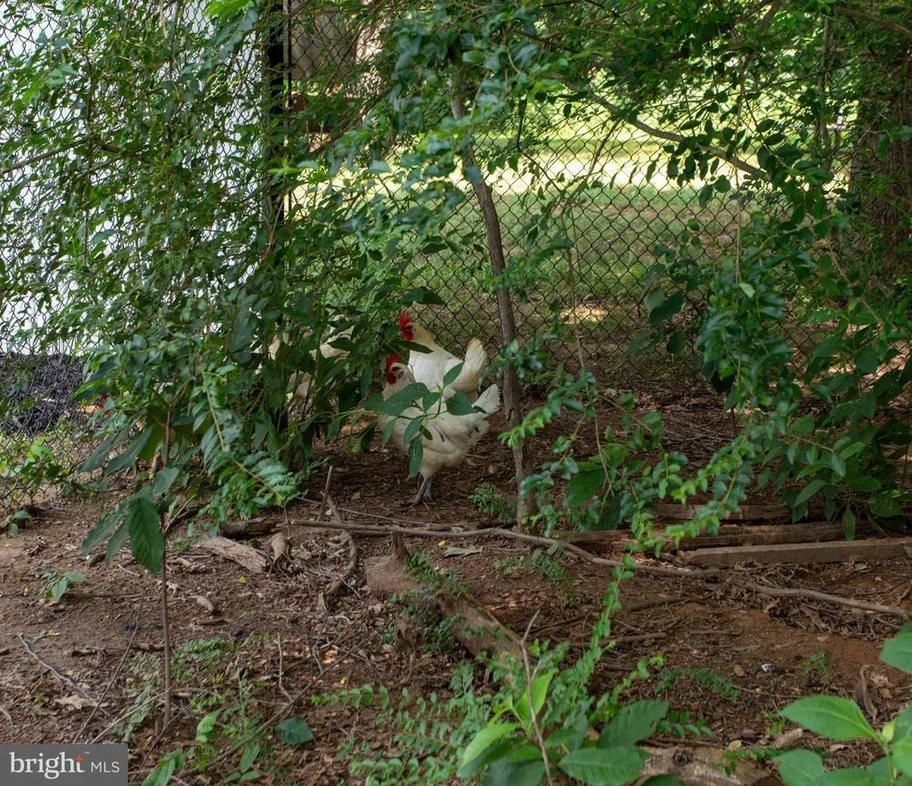 Photo of 12126 RIVERVIEW DRIVE