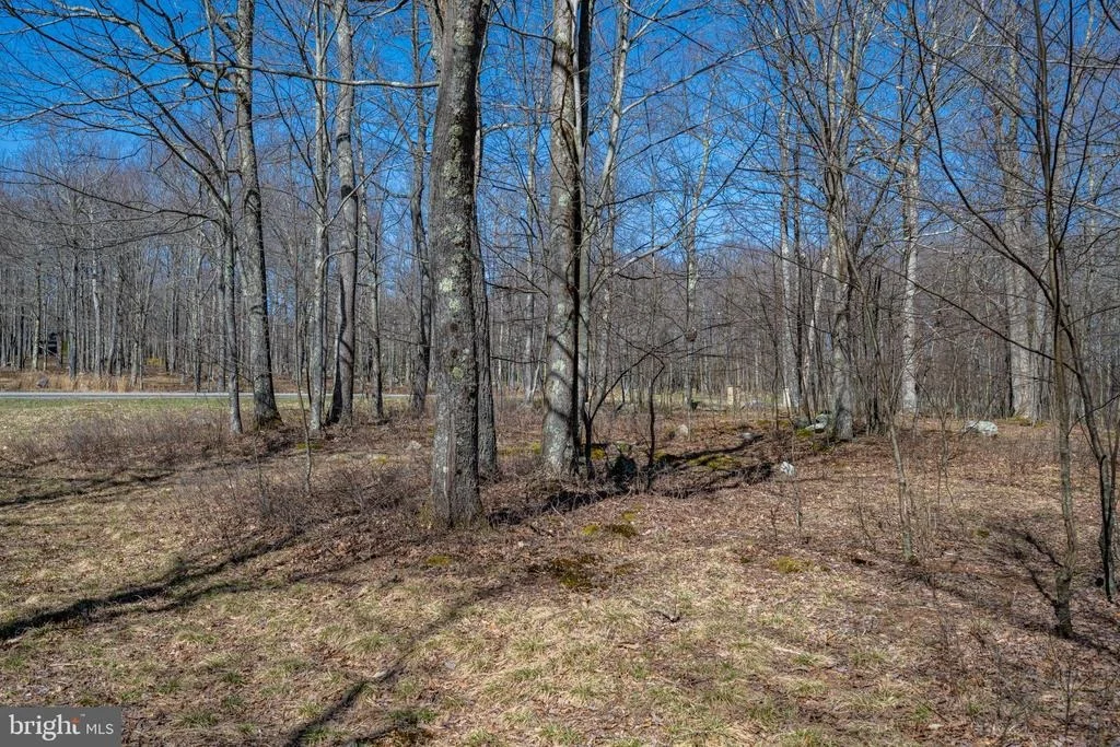 Photo of 36 FERN LOOP