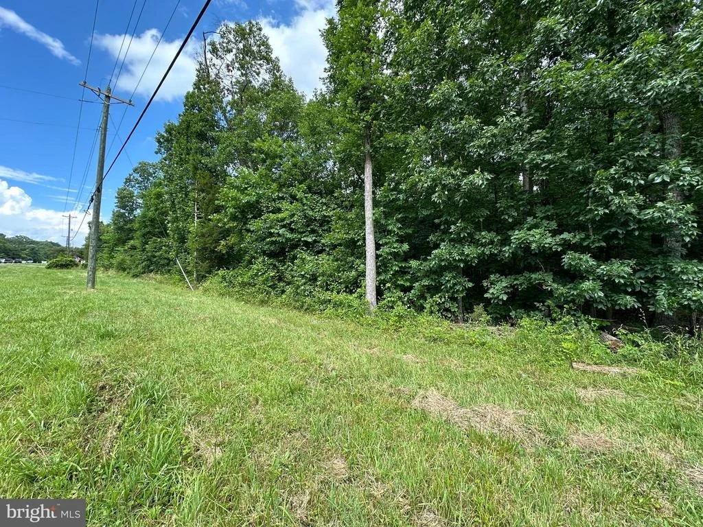 Photo of 7503 JAMES MADISON HIGHWAY