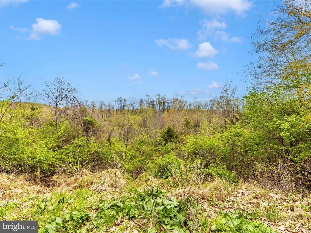 Photo of 111 BACHMANS VALLEY ROAD