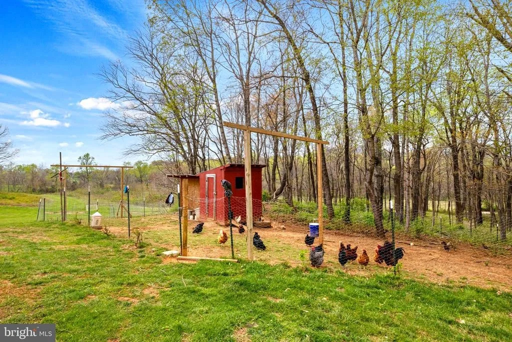 Photo of 4164 THRIFT ROAD