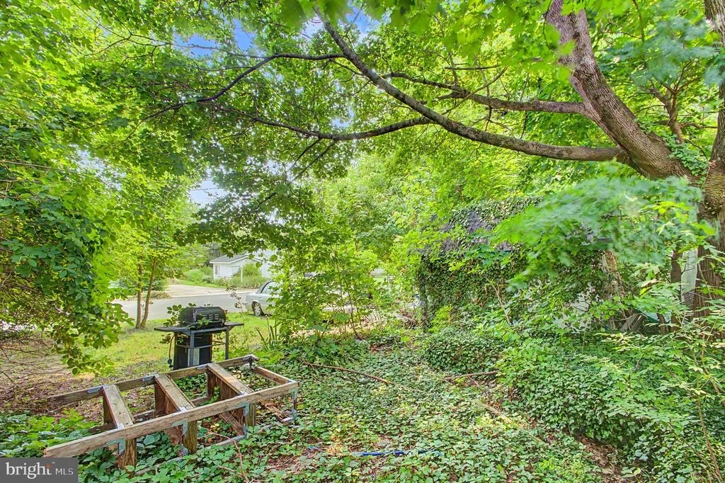 Photo of 93 LOCUST AVENUE