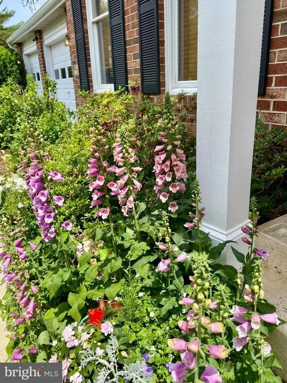 Photo of 17301 LAFAYETTE DRIVE