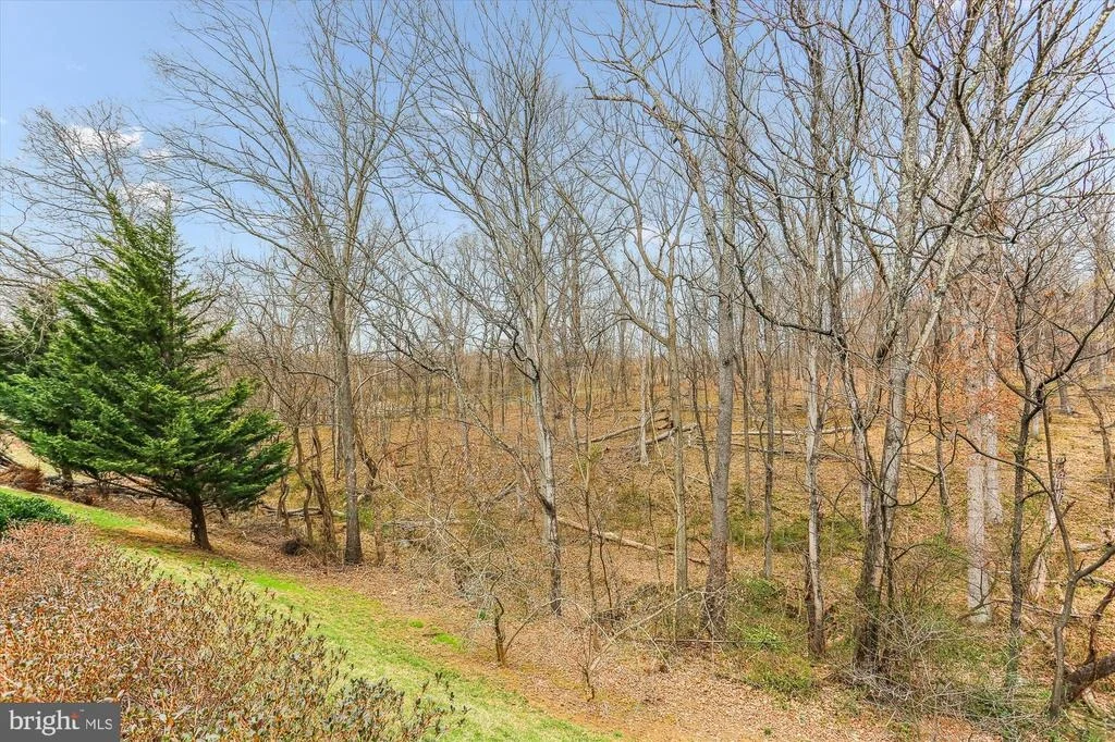 Photo of 9132 BELVEDERE DRIVE