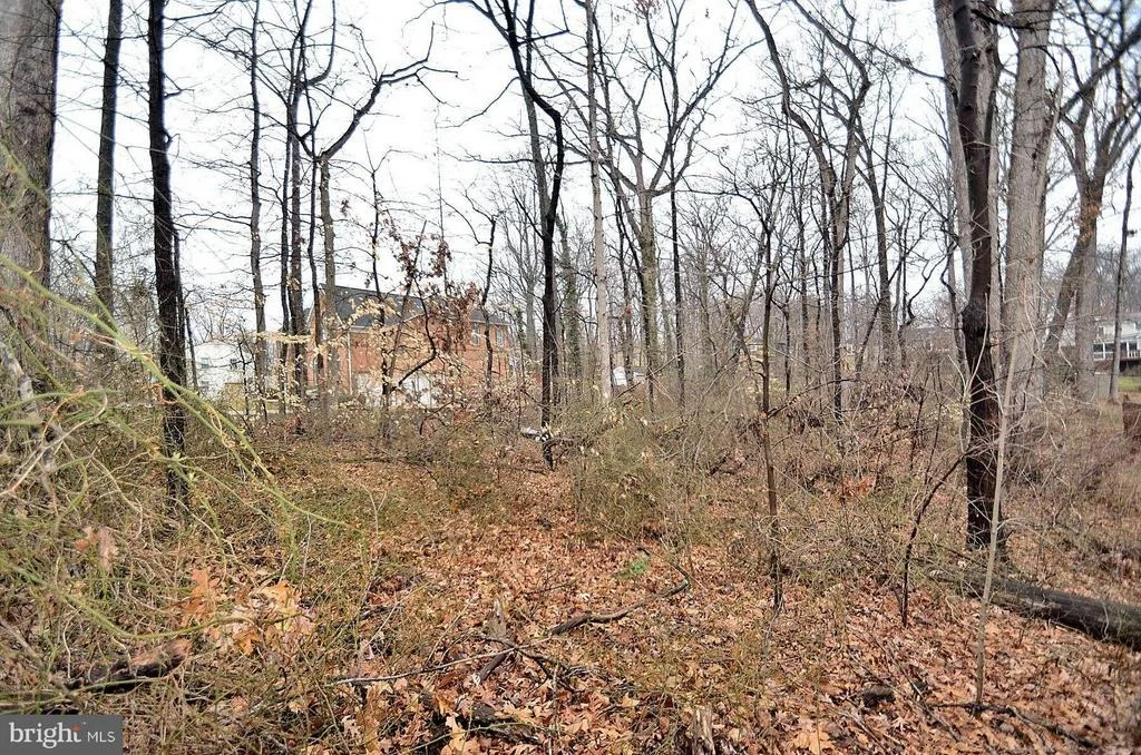 Photo of 4113 ROBERTS ROAD