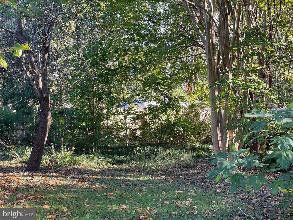 Photo of 109 HAZZARD LANE